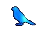 blue bird